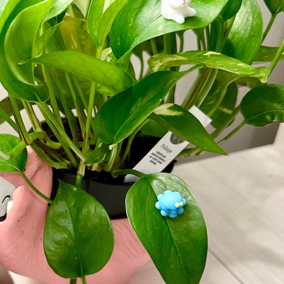 🍃10 pack PLANT MAGNETS!🍃 - Picture 7 of 14